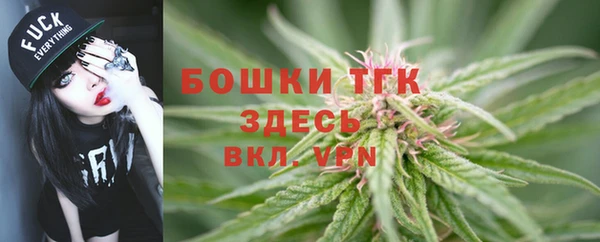 ешки Володарск